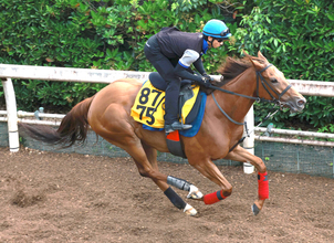 日曜小倉競馬場の注目激走馬…小倉１１Ｒ北九州記念・Ｇ３