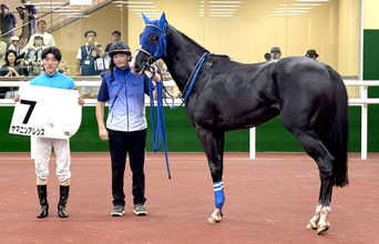 【中京２Ｒ・３歳未勝利】ヤマニンアレシス、２３年ぶり分割競走のおかげで本来なら除外対象馬が快勝