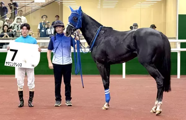 【中京２Ｒ・３歳未勝利】ヤマニンアレシス、２３年ぶり分割競走のおかげで本来なら除外対象馬が快勝