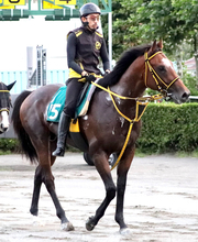 【札幌２歳Ｓ・金曜気配】未勝利で挑むハヤブサカツオーが“前日追い”で一発へ　陣営「上積みがありそう」