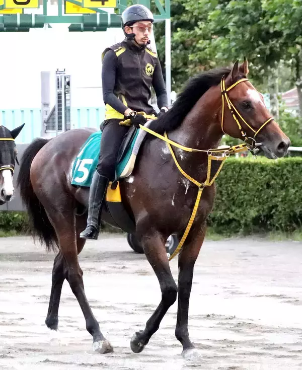 【札幌２歳Ｓ・金曜気配】未勝利で挑むハヤブサカツオーが“前日追い”で一発へ　陣営「上積みがありそう」
