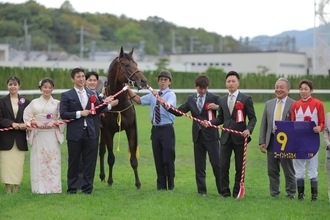 【菊花賞】「信じられません」武豊騎手でＶのゴーイントゥスカイを生産した千代田牧場が紡いだ血のドラマ