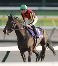 【注目馬動向】有馬記念参戦のミュージアムマイルはＣデムーロ騎手に継続騎乗を依頼　天皇賞・秋で２着