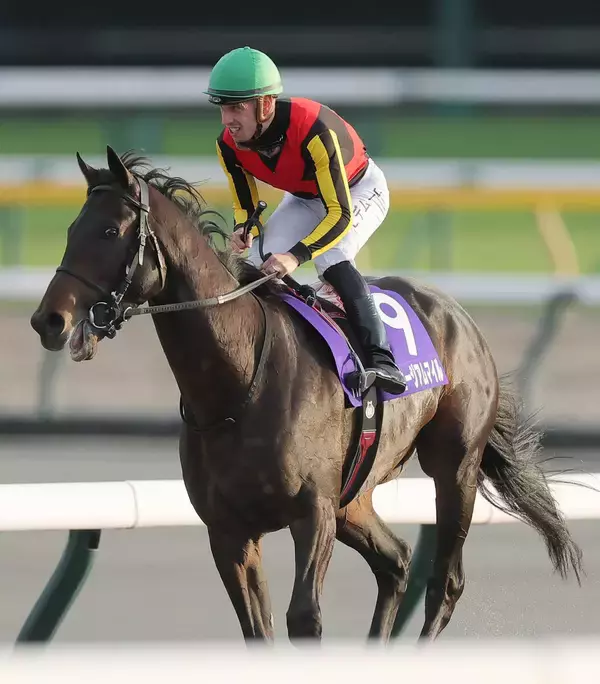 【注目馬動向】有馬記念参戦のミュージアムマイルはＣデムーロ騎手に継続騎乗を依頼　天皇賞・秋で２着