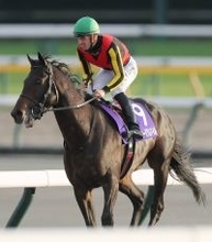 【注目馬動向】有馬記念参戦のミュージアムマイルはＣデムーロ騎手に継続騎乗を依頼　天皇賞・秋で２着