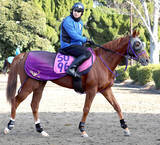 「【ＰＯＧ】Ｇ１・３勝エフフォーリアの全妹エヴィーヴァが初陣　鹿戸調教師「動けるようになっている」」の画像1