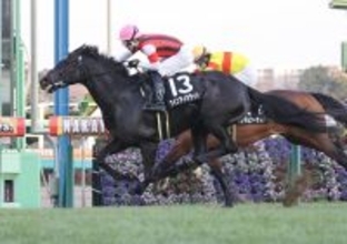 【サンライズＳ】全兄がＧ１を勝った舞台でウインアイオライトが一変　丹内祐次騎手「距離を詰めたらいい脚が使えると」