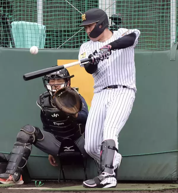 【阪神】大山悠輔がランチ特打で７２スイング１５発…巨人・萩原哲スコアラーが警戒「振れていますね」