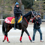 「【東京新聞杯】ラヴァンダは得意の府中で巻き返し目指す　陣営「ちょっと重い。ただ、使えば頑張ってくれるタイプ」」の画像1