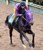 「【注目馬動向】オーシャンＳで重賞初制覇のペアポルックスは引き続き岩田康誠騎手で高松宮記念へ」の画像1