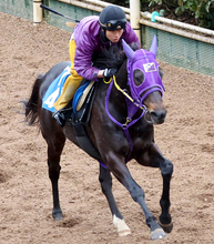 【注目馬動向】オーシャンＳで重賞初制覇のペアポルックスは引き続き岩田康誠騎手で高松宮記念へ