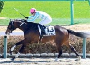 「ガシガシ追われてて...」「名前に反して」容赦ない圧勝劇見せた未勝利馬にネット爆笑　中山３Ｒのホノボノ　　