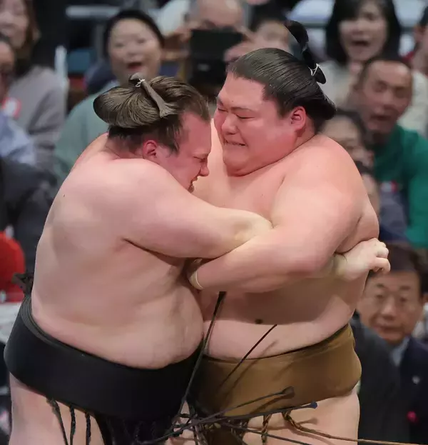 ３敗の安青錦　過去のデータでみる横綱昇進の可能性は？