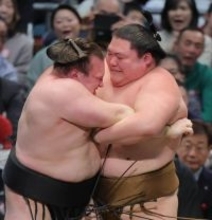 ３敗の安青錦　過去のデータでみる横綱昇進の可能性は？