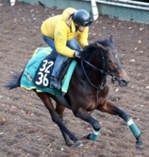 【チャーチルダウンズＣ】今週も「サトノ」だ　上村調教師の期待馬サトノセプターが巻き返す　「ＮＨＫマイルＣに乗せていきたい馬」