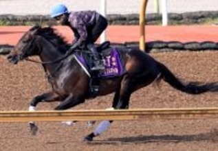 【注目馬動向】ミュージアムマイルが香港遠征を回避　主催者から歩様検査を「パスしないだろう」と指摘