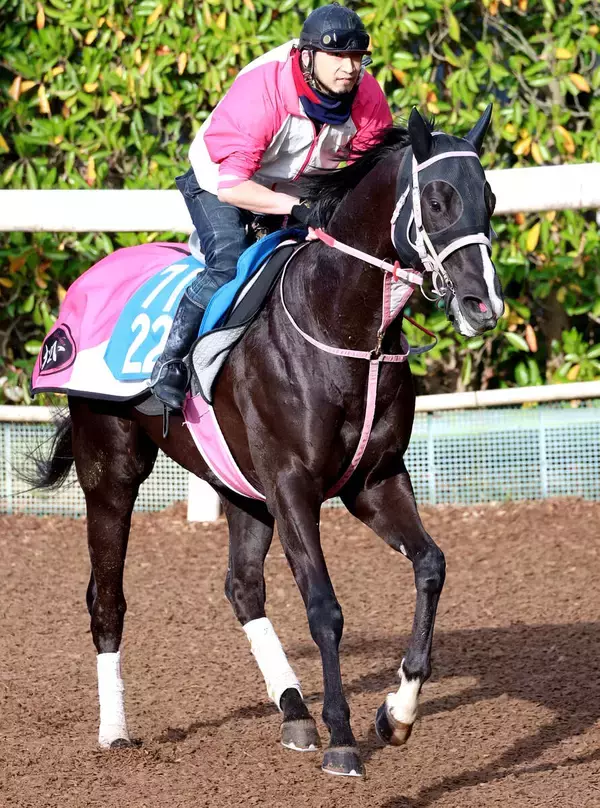 【アンタレスＳ】前走でオープン初勝利のジューンアヲニヨシが上昇気配　陣営「前回と比べてもいいと思います」