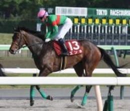 【フローラＳ】キャリア１戦の良血エンネが２着　オークス切符獲得にディー騎手「２４００メートルの方が良さそう」