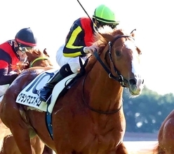 超良血馬が６戦目でも勝てずファン落胆「前が壁か〜」「ダートでみたい」　一口５００万円のグランマエストロは４着