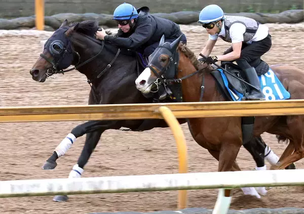 【宝塚記念・１週前】ミュージアムマイルはレーン騎手騎乗でびっしり「反応は良かった。馬体は力強くなっている印象」