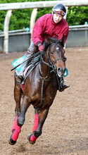 【今週のトク注新馬】Ｇ１・４勝ラッキーライラックの子が２８日初陣　母も管理した松永幹調教師「瞬発力とかは似ているね」