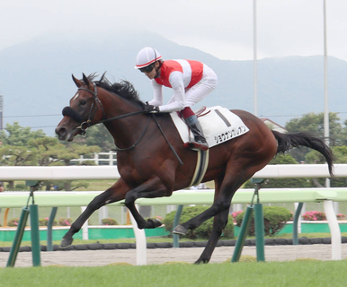 「サンデーサイレンスのような...」「革命起きてしまう」伝説の種牡馬産駒のレコードでの圧勝にネット驚がく