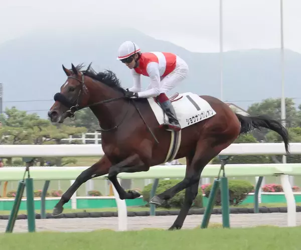 「マジで時代変えそう」「サンデーサイレンスのような...」伝説の種牡馬産駒のレコードでの圧勝にネット驚がく