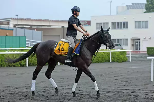 日曜札幌競馬場の注目激走馬…札幌１１Ｒクイーンステークス・Ｇ３