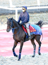 【秋華賞・土曜気配】ローズＳ２着エンネは坂路で力強い脚取り　吉岡調教師「気持ちが乗っているが...」
