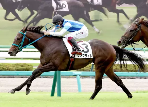 【注目馬動向】阪神ＪＦを抽選除外となったサンブライト　ひいらぎ賞、朝日杯ＦＳの両にらみ