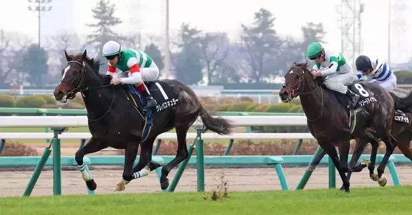 【中山９Ｒ・ひいらぎ賞】新馬レコードＶのクレパスキュラーが圧勝もルメール騎手「すごくかかる」