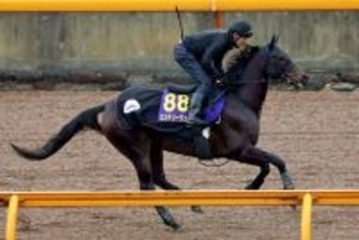 【有馬記念】セン馬旋風起こす！　遅咲きのミステリーウェイここも逃走だ　小林調教師「以前より体も大きくなってきました」