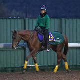 「土曜中山競馬場の注目激走馬…中山１１Ｒホープフルステークス・Ｇ１」の画像1