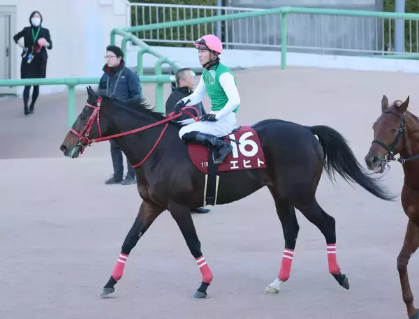 【アメリカＪＣＣ】「積極的に運ぼうと」菅原明良騎手　１４番人気の９歳馬エヒトがしぶとく踏ん張り高配当演出