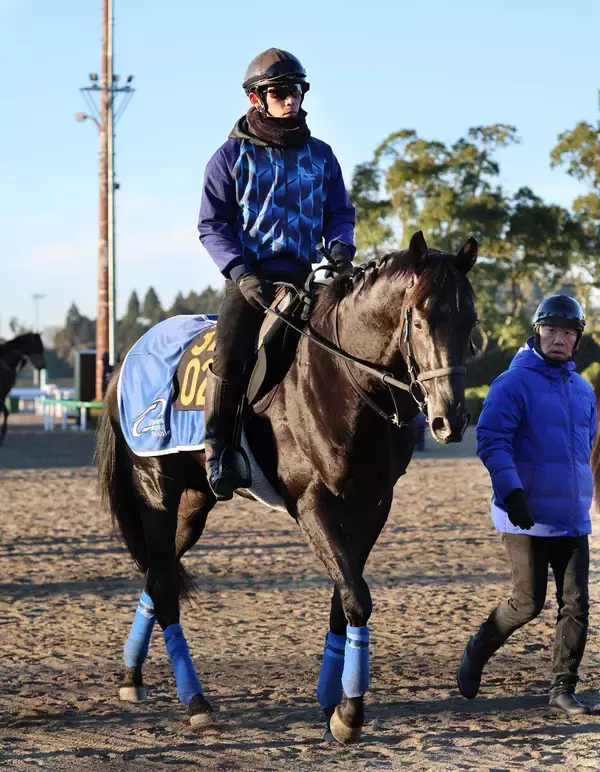 【フリージア賞・坂本の特注馬】チャリングクロスは一戦ごとに見違えるほど成長　ここは確勝級