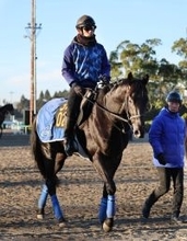 【フリージア賞・坂本の特注馬】チャリングクロスは一戦ごとに見違えるほど成長　ここは確勝級