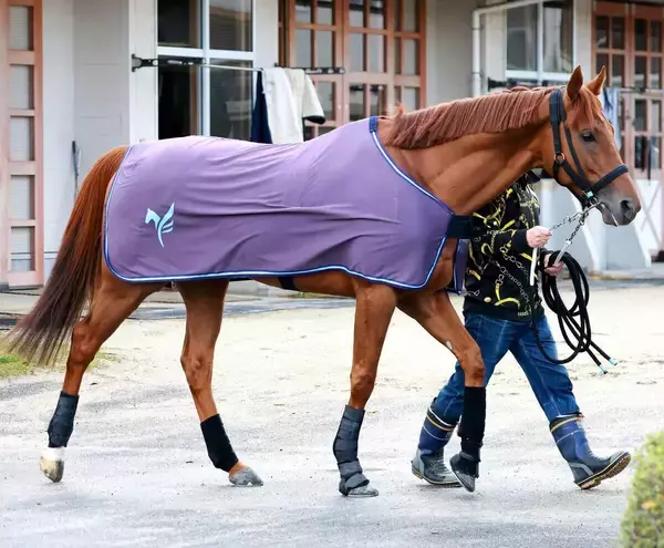 「【大阪杯・特選有力馬チェック】国内外Ｇ１・３勝目を目指すダノンデサイルは買うべき？　」の画像