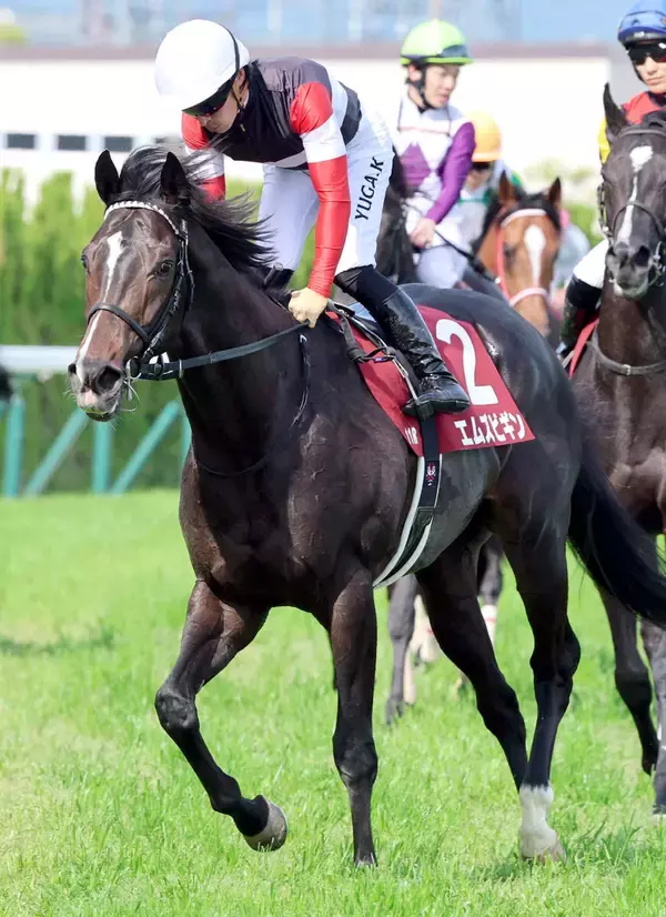 【注目馬動向】セレクト５・９億円馬エムズビギンは日本ダービー目指す　除外なら同日の白百合Ｓへ
