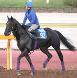 「【注目馬動向】兄姉にＧ１馬３頭の良血馬グランヴィノスは９月のチャレンジＣで今年初戦」の画像1