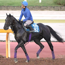 【注目馬動向】兄姉にＧ１馬３頭の良血馬グランヴィノスは９月のチャレンジＣで今年初戦