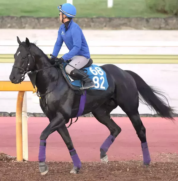 【注目馬動向】兄姉にＧ１馬３頭の良血馬グランヴィノスは９月のチャレンジＣで今年初戦