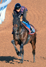 【関屋記念】岩田望来騎手が復帰ウィークに決めた！　アンパドゥを重賞初挑戦Ｖに「ルメール騎手が乗っているだけある」