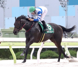 【大井・新馬戦】中山遥人騎手「はまってくれば楽しみ」フィエールマン産駒のサカベンスピードが６馬身差で快勝