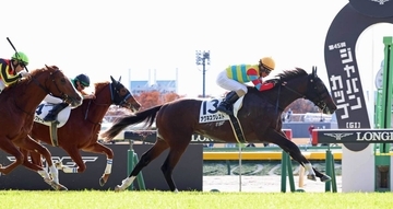 初勝利が遠い超良血馬にファン落胆「あかんかったか」「フラフラしてた」　グランマエストロは２着に前進したが…