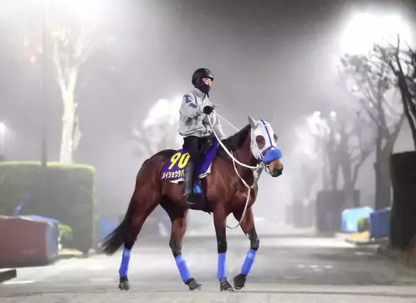 【有馬のザ・ロイヤルファミリー】メイショウタバルの武豊騎手「日高の馬で有馬を勝つ。オーナーの遺言やからね」先代オーナー・松本好雄氏の思い継承する