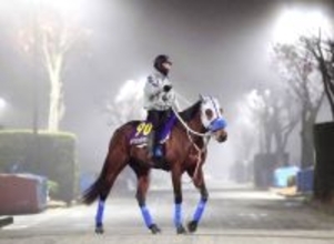 【有馬のザ・ロイヤルファミリー】メイショウタバルの武豊騎手「日高の馬で有馬を勝つ。オーナーの遺言やからね」先代オーナー・松本好雄氏の思い継承する