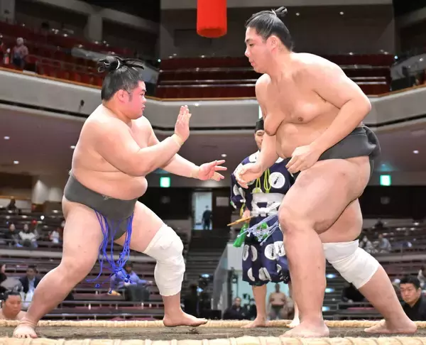 左膝の大けがから復帰の序ノ口・蒼富士が７戦全勝　亡き父との「約束を果たしたい」…千秋楽に旭富士と優勝決定戦