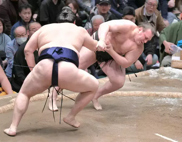 安青錦が３敗に後退　大の里に敗れる　３敗同士の対戦に勝利した熱海富士と並び、千秋楽に新大関Ｖ賭ける