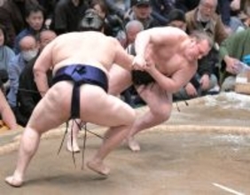 安青錦が３敗に後退　大の里に敗れる　３敗同士の対戦に勝利した熱海富士と並び、千秋楽に新大関Ｖ賭ける