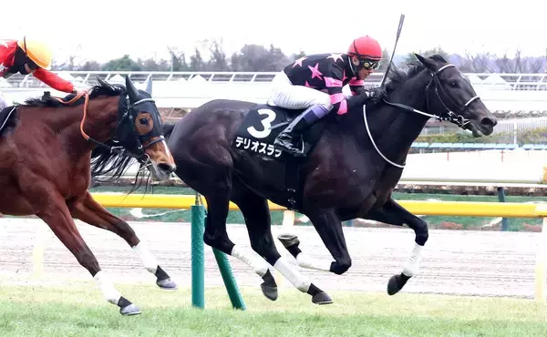 【東京１０Ｒ・初音Ｓ】３４キロ増は歴代２位の体重増Ⅴ！逃げ切ったテリオスララに武豊騎手「止まる感じはなかった」